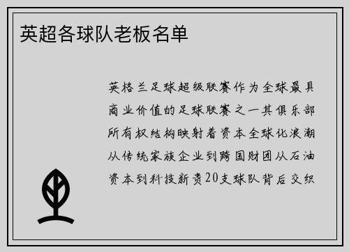英超各球队老板名单